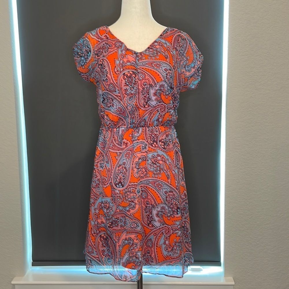 THE LIMITED paisley lined dress with elastic waist
